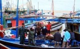 Đầu năm ngư dân Phú Yên trúng đậm cá ngừ đại dương