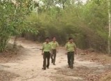 Công tác phòng chống cháy rừng mùa khô 2018: Không để sự cố bất ngờ xảy ra