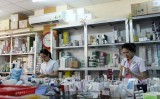 New policies proposed to better serve pharmaceutical FDI firms