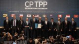 新加坡专家建议越南加大改革力度 利用CPTPP带来的机遇