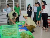 Đoàn Giám sát Ban Văn hóa - xã hội HĐND tỉnh: Giám sát các bếp ăn tập thể tại Bàu Bàng