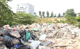 TX.Thuận An:
Kiên quyết xử lý việc chôn lấp rác thải rắn sai quy định