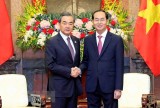 国家主席陈大光会见中国外交部部长王毅