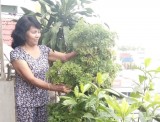Cô Nguyễn Thị Loan: Hết lòng vì công tác hội