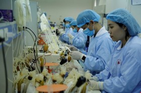 中央血液学与输血医学院下属的国家血液中心正式成立