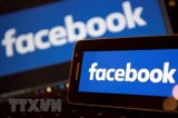 Indonesia yêu cầu Facebook bàn giao kết quả kiểm soát rò rỉ dữ liệu