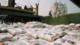 2018年第一季度越南对孟加拉的大米出口额骤增