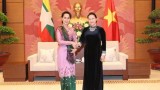 越南国会主席阮氏金银会见缅甸国家顾问昂山素季