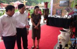 Hơn 5.000 ấn phẩm cung cấp thông tin du lịch tại hội chợ Hùng Vương
