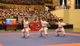 Vietnamese karatekas dominate regional tourney