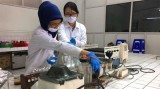 Indonesian study into health risks of microplastics