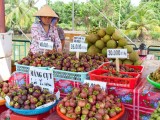 Lai Thieu – the paradise for fruits and fruit-related culinary