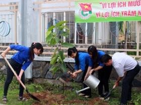 顺安市共青团种植200棵龙脑香树响应“世世代代铭记胡伯伯功劳”植树节