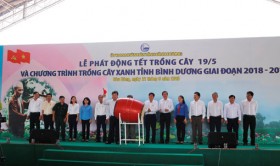 平阳省人民委员会发起5•19植树节和2018-2019年阶段绿树种植计划