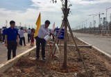 Joining hands to plant green trees for sustainable development