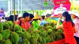 越南旅游：2018年第十四届南部水果节热闹登场