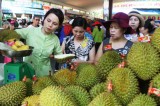 Over 20 artistic persons and gardeners of Binh Duong attend the Southern Region Fruit Festival 2018