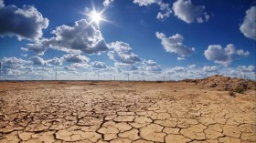 越南积极响应世界防治荒漠化与干旱日