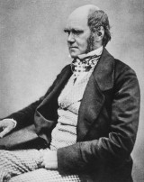 Hôn nhân bí ẩn của nhà tự nhiên học Charles Darwin