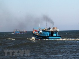 Vietnam joins FAO’s Agreement on Port State Measures