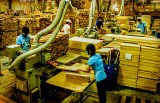 平阳木材加工行业：努力提前完成年计划