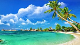 TravelBird：越南海滩跻身世界最便宜的海滩名单
