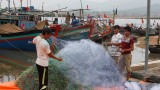台风过后义安省渔民准备渔具出海捕捞