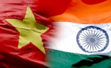 Vietnam, India enjoy vigorous growth of strategic partnership