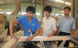 Efficiency of vocational training for rural workers