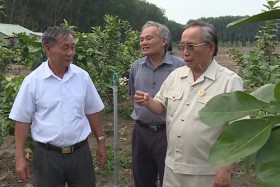 Những cựu chiến binh làm kinh tế giỏi