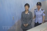Cựu Tổng thống Hàn Quốc Pak Geun-hye bị tuyên án 25 năm tù giam