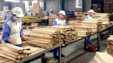 2018年前8个月越南林产品出口额达58多亿美元