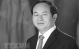 Quá trình công tác của Chủ tịch nước Trần Đại Quang