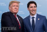 Tổng thống Trump phê chuẩn thỏa thuận sửa đổi NAFTA với Canada