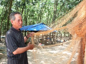Thoát nghèo bằng sự nỗ lực