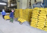 Chiến tranh thương mại Mỹ-Trung: Doanh nghiệp gạo không chủ quan
