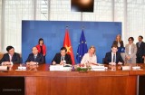 Vietnam, EU sign VPA-FLEGT to combat illegal logging