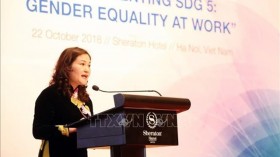 东盟与欧盟性别平等和赋予妇女和女童权力对话会在河内举行