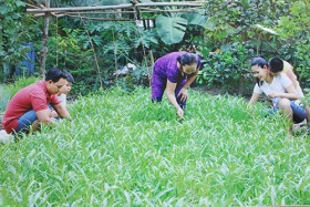 Các cấp Hội LHPN: Nhân rộng những mô hình vệ sinh an toàn thực phẩm
