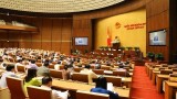 越南第十四届国会第六次会议公报（第十一号）
