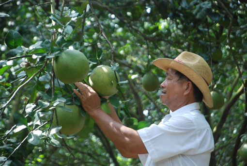 Bí ẩn bộ máy ảnh ngụy trang của điệp viên Nga