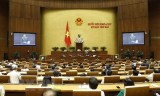 National Assembly discuss bills on amnesty, husbandry on November 7