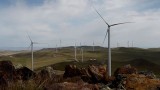 德国愿协助越南发展风力发电