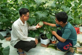 Tiếp tục đổi mới, phát triển hiệu quả  và nâng cao kinh tế tập thể