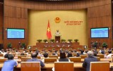 Truyền thông thế giới đưa tin về Quốc hội Việt Nam phê chuẩn CPTPP