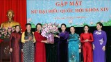 越南国会主席阮氏金银会见第十四届国会女性代表