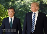 Hai nhà lãnh đạo Mỹ và Hàn Quốc sẽ hội đàm bên lề Hội nghị G20