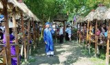 Thua Thien-Hue promotes revival of bai choi