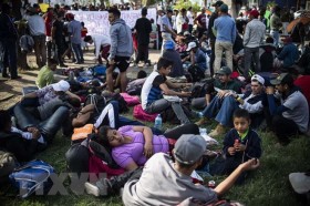 Vietnam considers UN migration pact important step forward