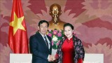 越南国会主席阮氏金银会见缅甸联邦巩固与发展党主席丹泰
